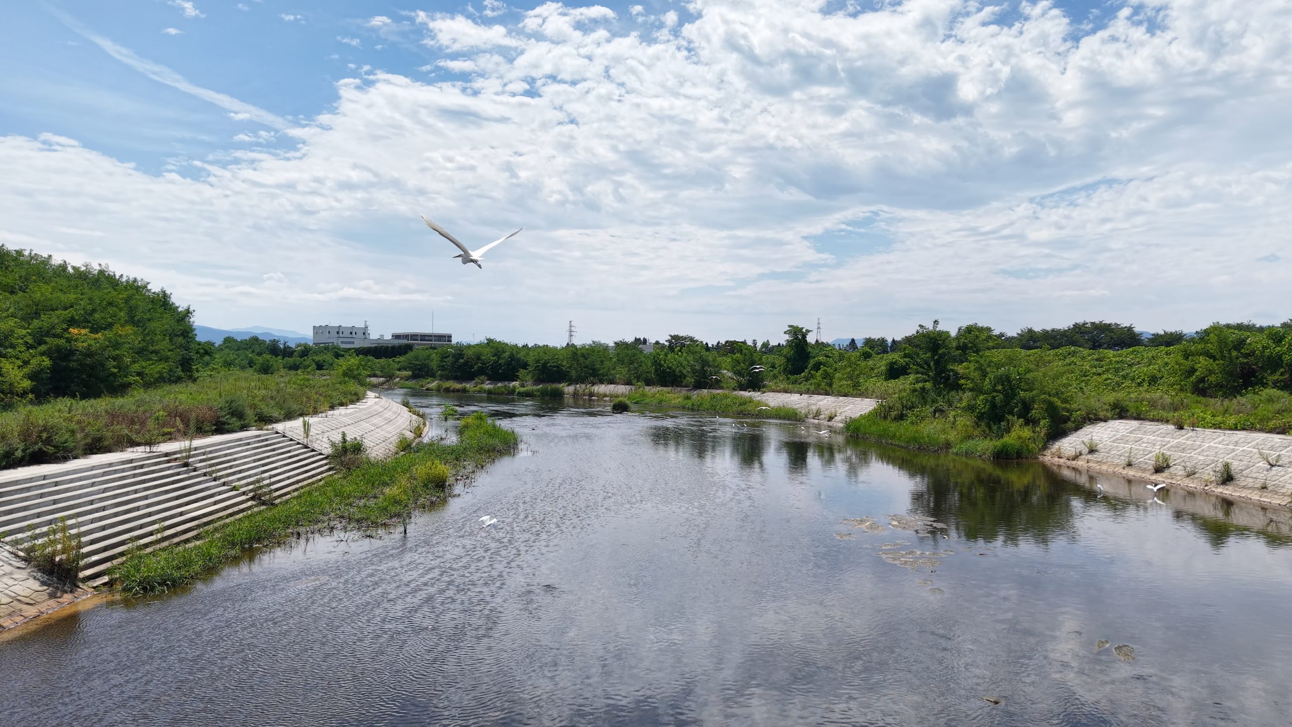 テスト投稿(ブログ)